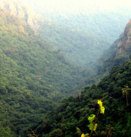 Daringbadi Mandasaru Tour