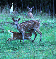 Photography Tour to Odisha
