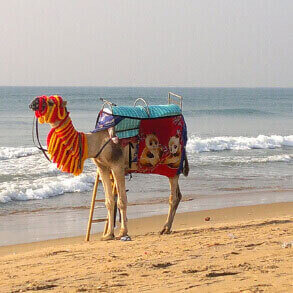Puri Beach