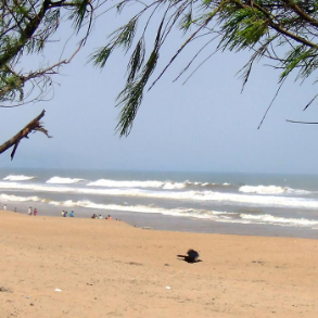 Chandrabhaga Beach