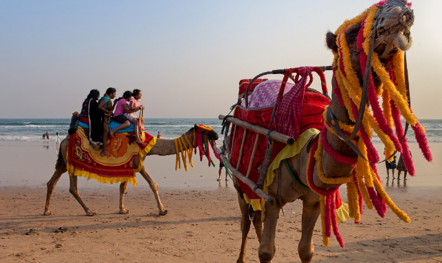Rustic Orissa Tribal Tour Gallery 1