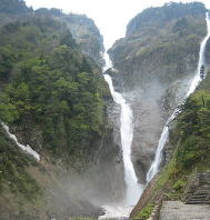 Nature Tour