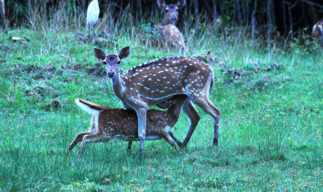 Nature Tour Gallery 1