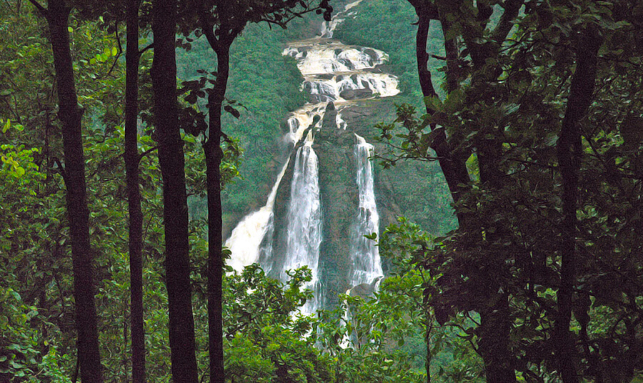 Nature Tour Gallery 2