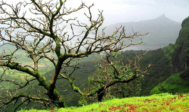 Nature Tour Gallery 3