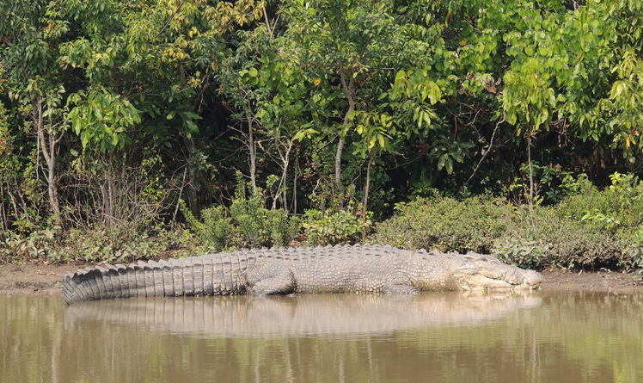 Photography Tour To Odisha Gallery 2