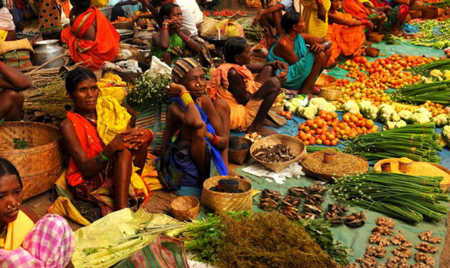 Tribal Tour In Odisha Gallery 3