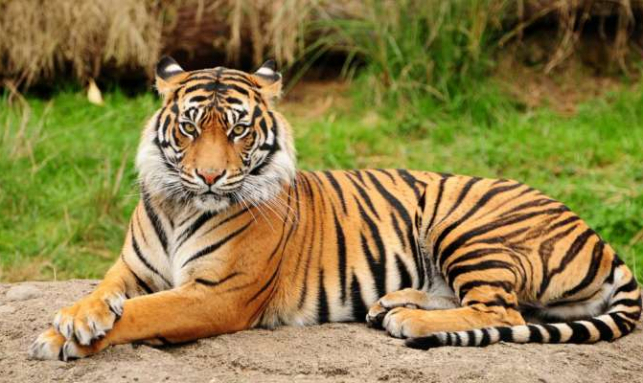 Debrigarh Eco Tours Gallery 2