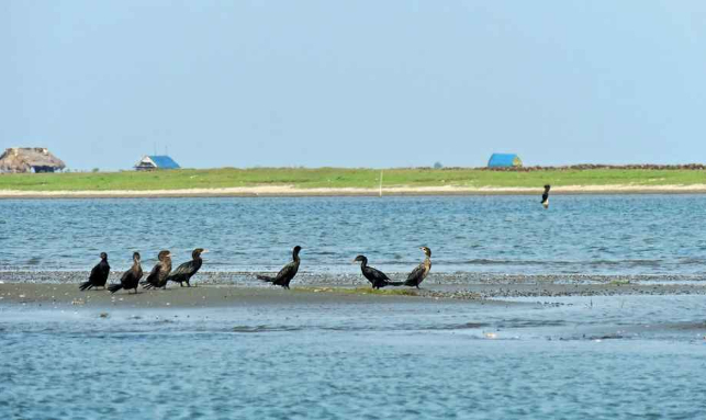 Odisha Honeymoon Tour Package With Chilika Lake Gallery 3