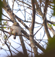 Paradise Of Migratory Birds Tour