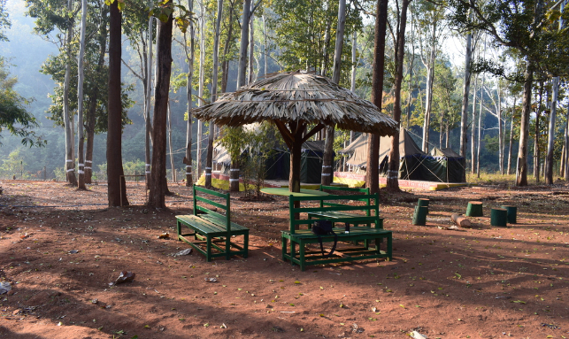 Belghar Eco Tour Odisha Gallery 3