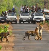 Ecotourism Destination Tour