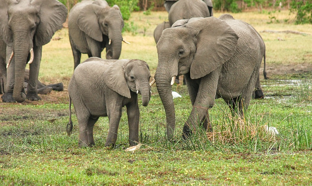 Ecotourism Destination Tour Gallery 1