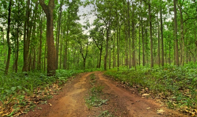 Ecotourism Destination Tour Gallery 2