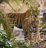 Odisha Eco Tours