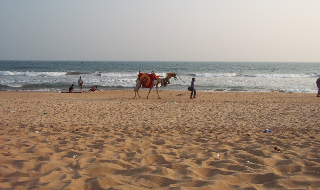 Magical Odisha Tour Gallery 2