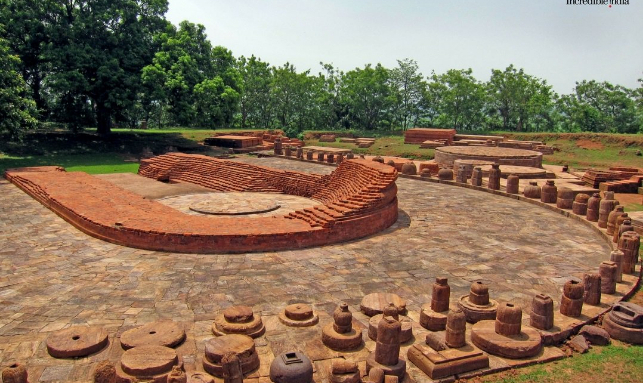 Temple & Wildlife Of Odisha Tour Gallery 1