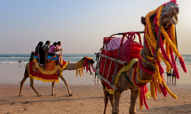 Live The Dream Odisha Tour Gallery 1