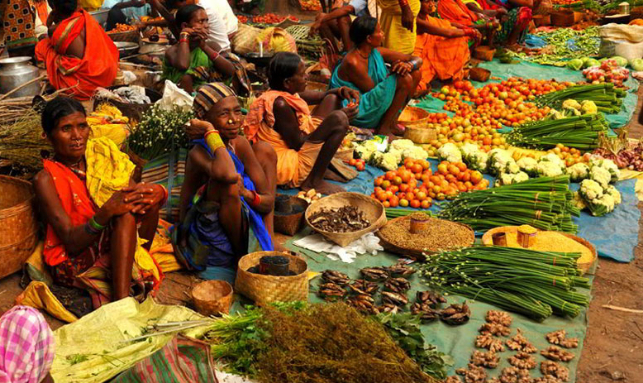 Odisha Tribal Village Photography Tour Gallery 2