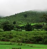 Daringbadi Puri Tour