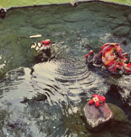 Explore Tranquil Taptapani Tour