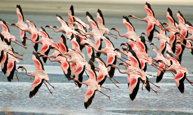 Buddhist Tour And Wildlife Tour In Odisha Gallery 1