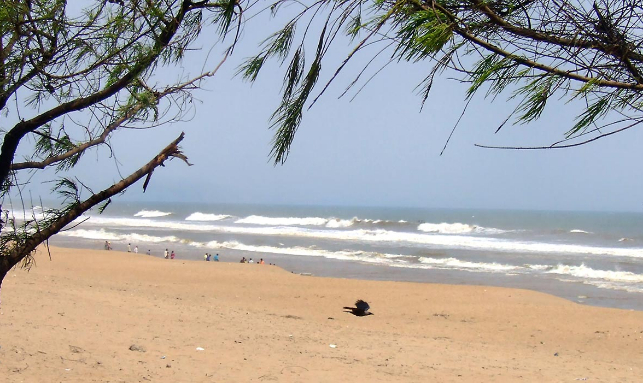 Buddhist Tour And Wildlife Tour In Odisha Gallery 2