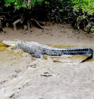 Exotic Tour Of Odisha
