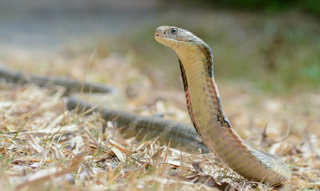 Exotic Tour Of Odisha Gallery 2