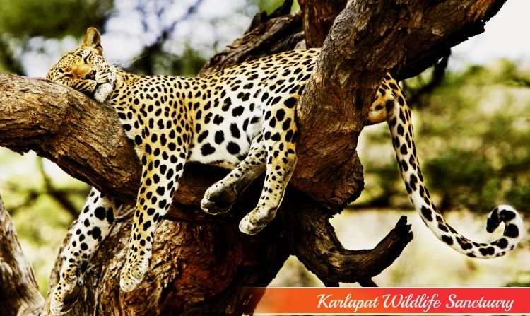 13. KARLAPAT WILDLIFE SANCTUARY