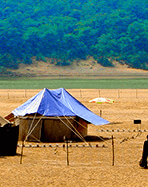 Eco Tourism