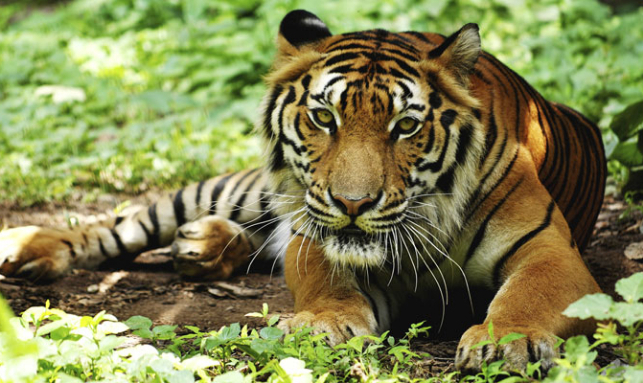 Explore Orissa Tour Gallery 2
