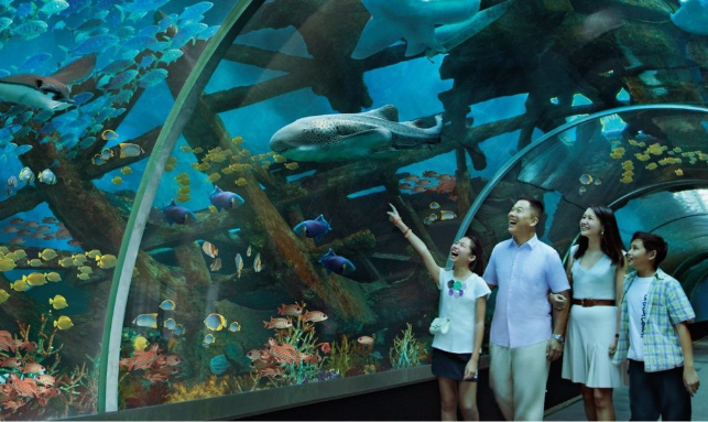 Gateway To The Beauty Of The World - Singapore Gallery 1