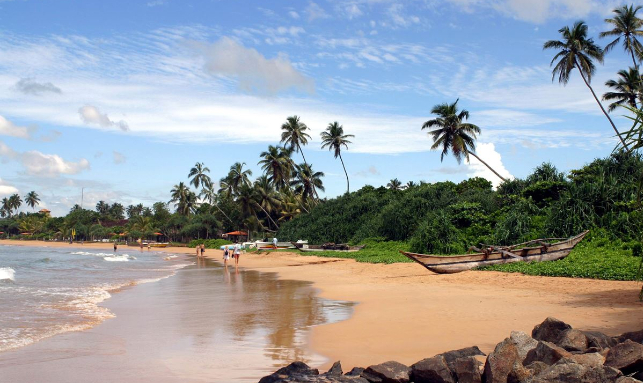 Special Sri Lanka Family Tour: Yala, Bentota And Colombo Gallery 3
