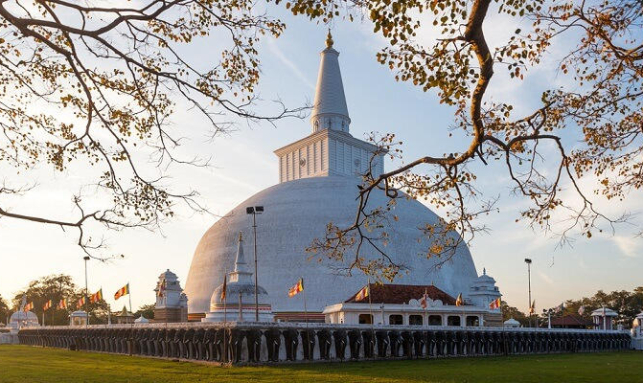 Jovial Sri Lanka Family Tour Gallery 1