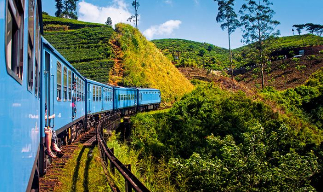 Joyous Sri Lanka Family Package Gallery 2