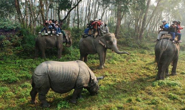 An Enjoyable Nepal Family Trip Gallery 2