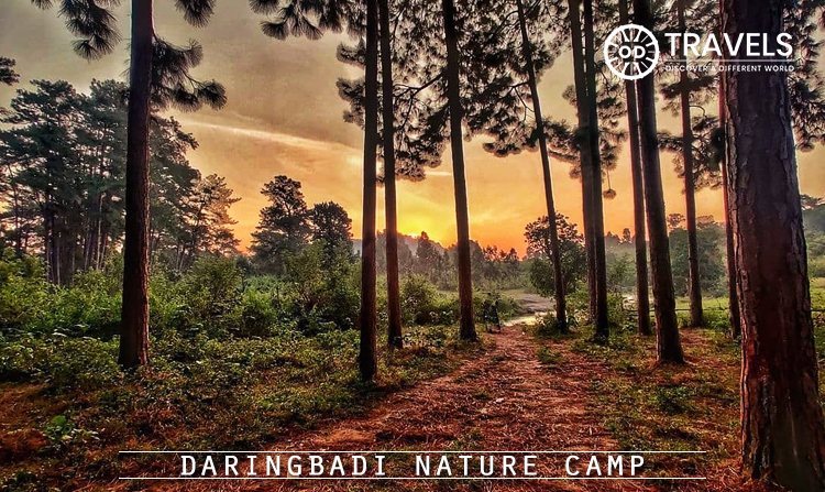 6. Daringbadi Nature Camp