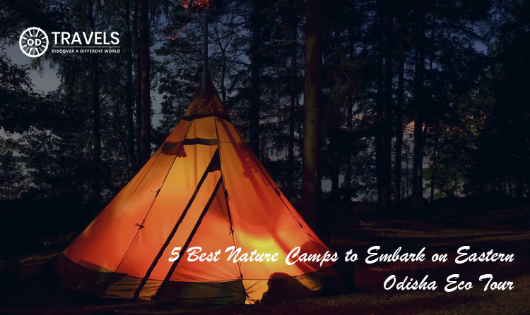 5 Best Nature Camps to Embark on Eastern Odisha Eco Tour
