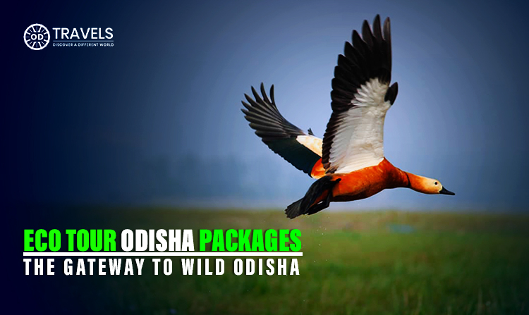 Eco Tour Odisha
