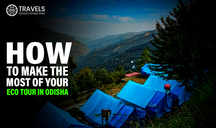 How To Make The Most Of Your Eco Tour In Odisha