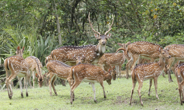 Bhitarakanika Wildlife Tour Gallery 1