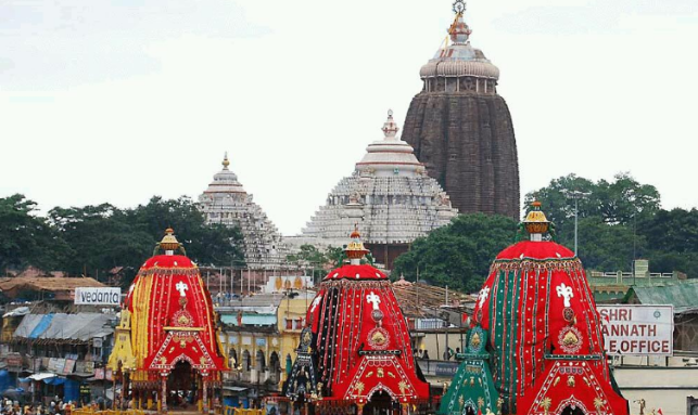 Puri Rath Yatra Tour Gallery 3